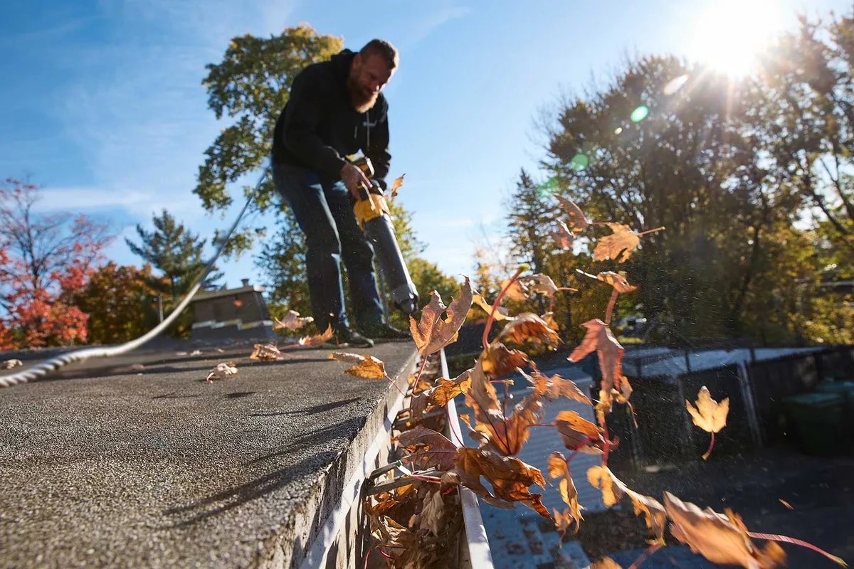 Professional gutter cleaning service