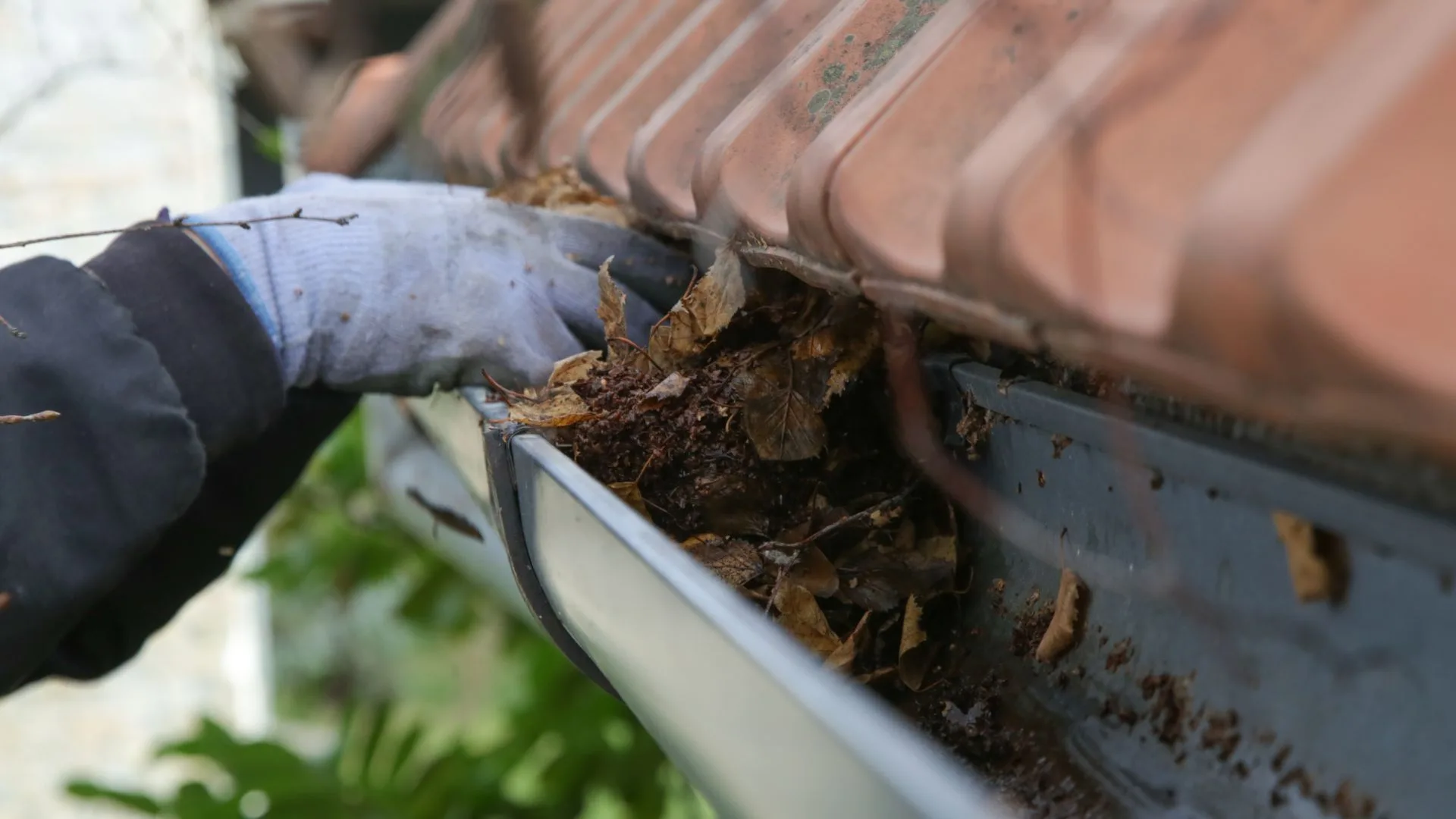 Gutter Guards